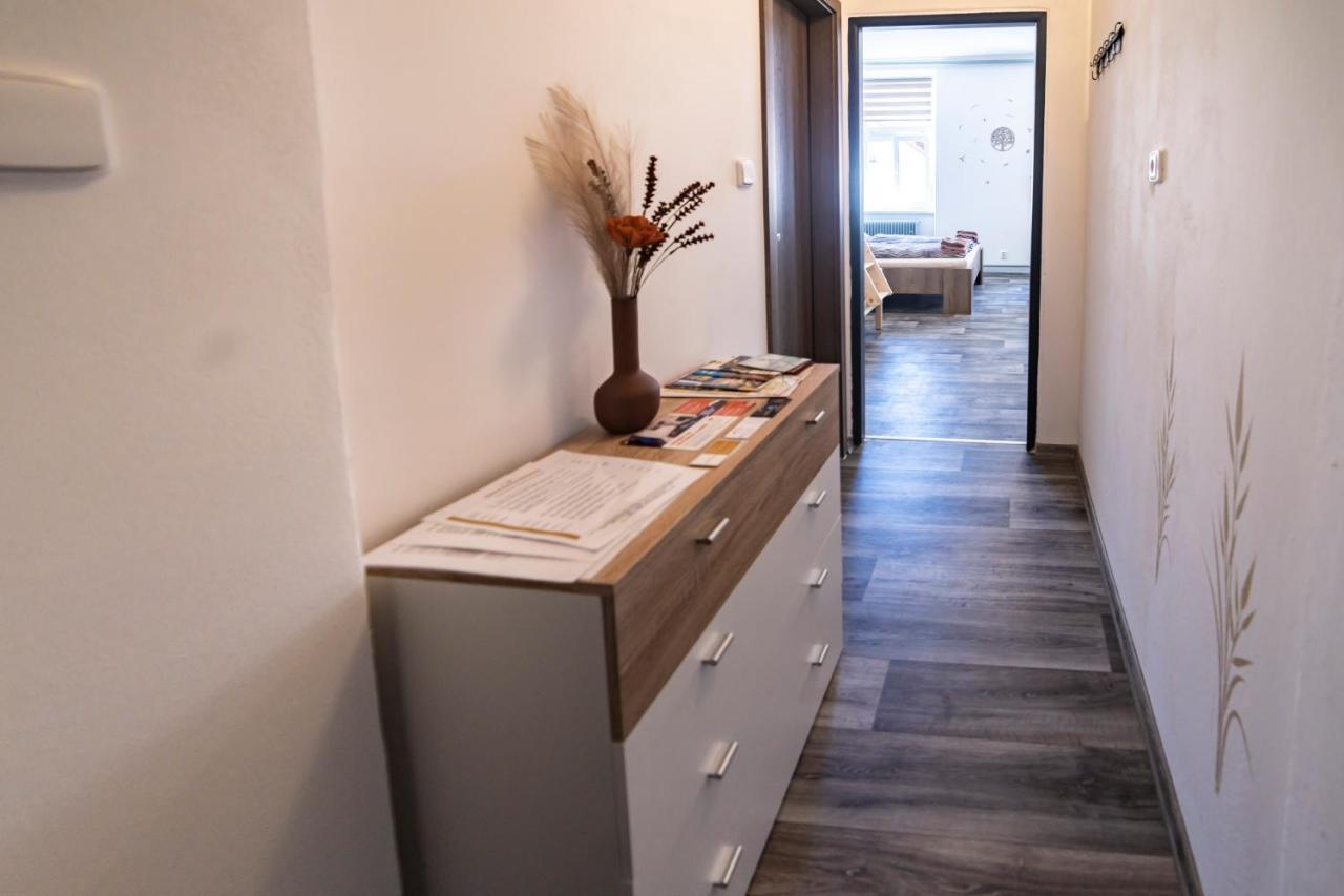 Apartmany Nezarka A Privatni Wellness Jindřichův Hradec Extérieur photo