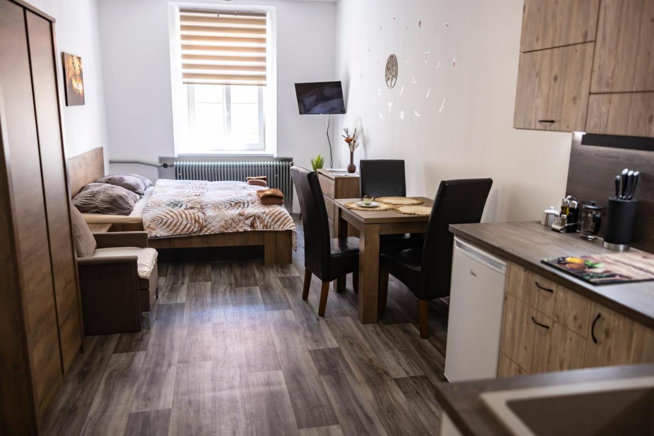 Apartmany Nezarka A Privatni Wellness Jindřichův Hradec Extérieur photo